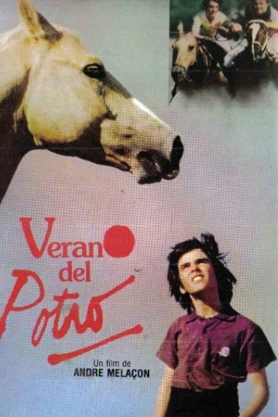 Póster de Summer of the Colt