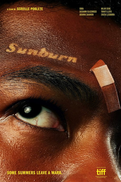 Póster de Sunburn