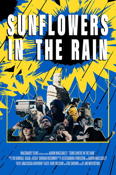 Póster de Sunflowers in the Rain
