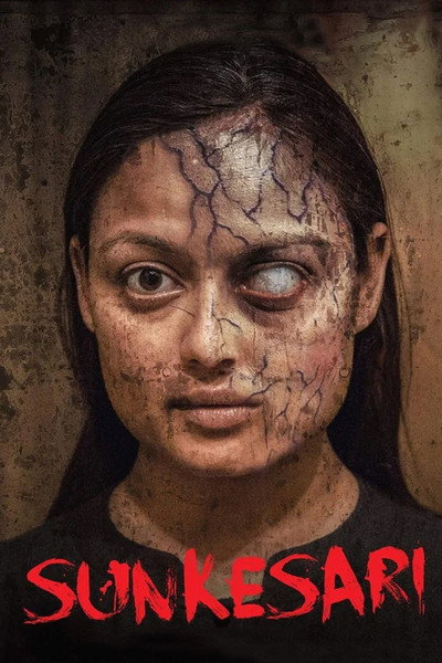 Póster de Sunkesari