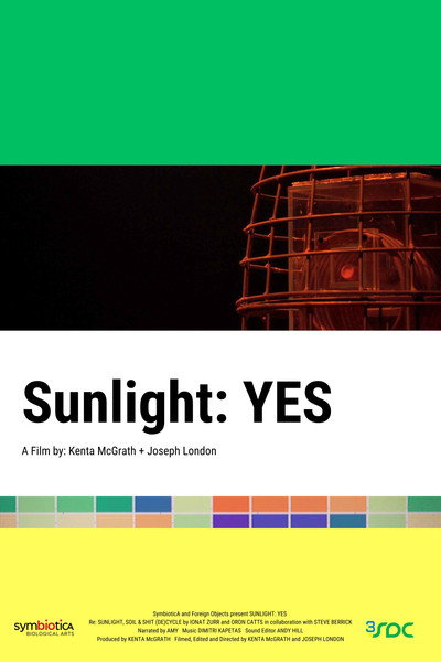 Póster de Sunlight: YES