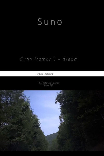 Póster de Suno