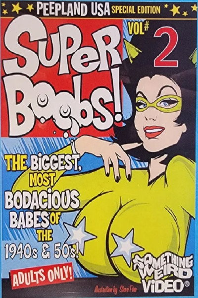Póster de Super Boobs Vol. 2