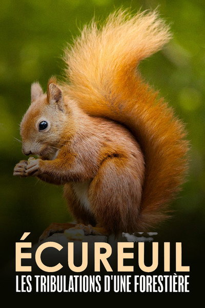 Póster de Superardilla: la dueña del bosque