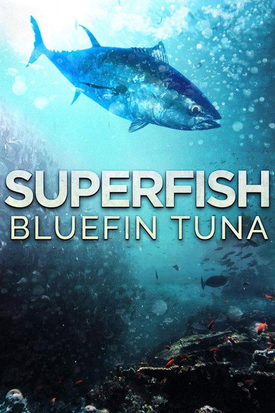 Póster de Superfish Bluefin Tuna