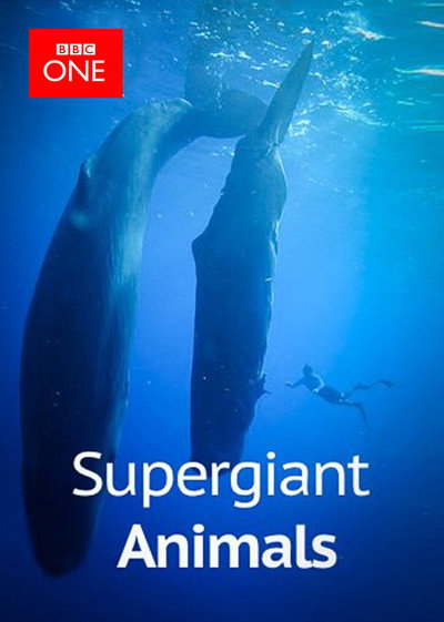 Póster de Supergiant Animals