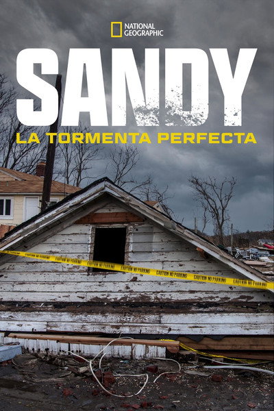 Póster de Superstorm New York: What Really Happened