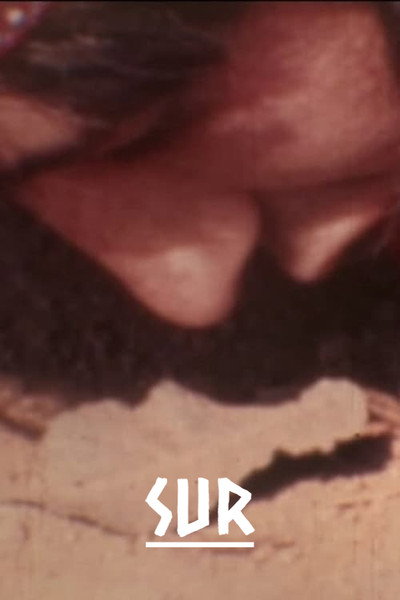 Póster de Sur