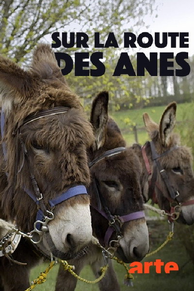 Póster de Sur la route des ânes