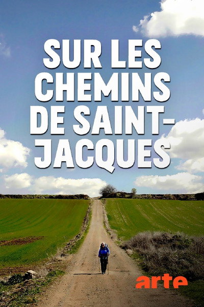 Póster de Sur les chemins de Saint-Jacques-de-Compostelle