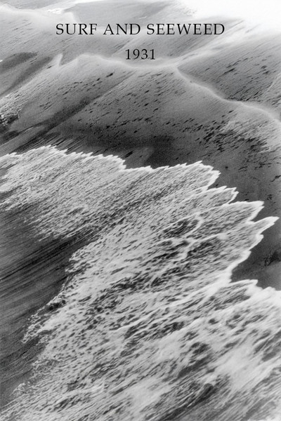 Póster de Surf and Seaweed