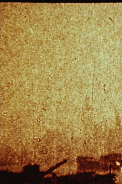 Póster de Surfacing on the Thames