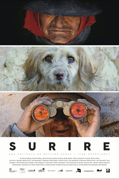 Póster de Surire