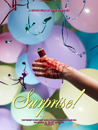 Póster de Surprise!