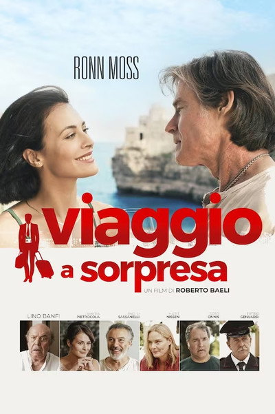 Póster de Surprise Trip
