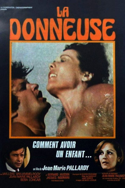 Póster de Surrogate Romance