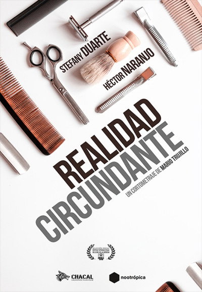 Póster de Surrounding Reality