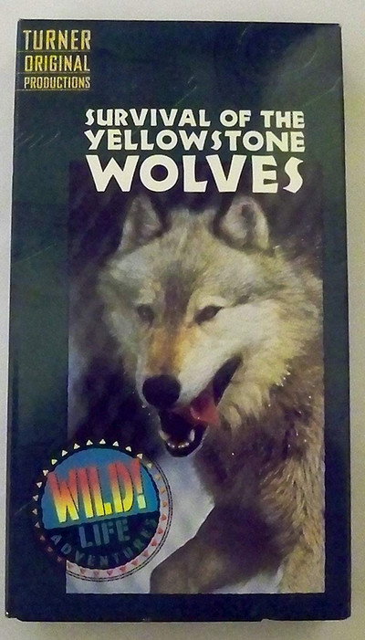 Póster de Survival of the Yellowstone Wolves