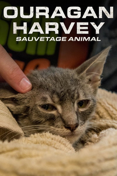 Póster de Surviving Harvey: Animals After the Storm