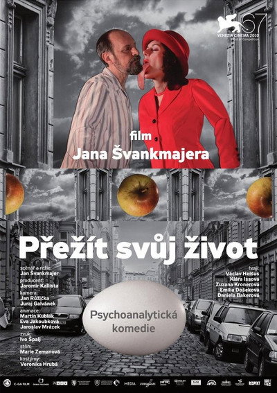 Póster de Surviving Life