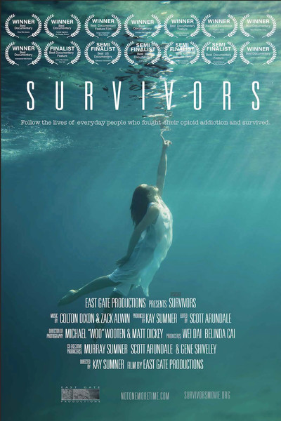Póster de Survivors