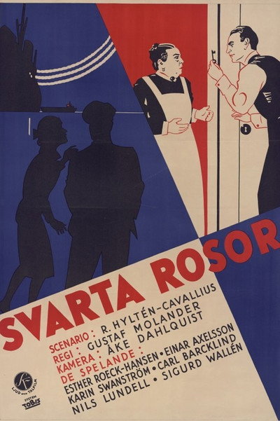 Póster de Svarta rosor