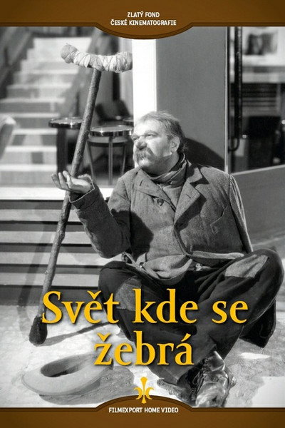 Póster de Svet kde se zebrá