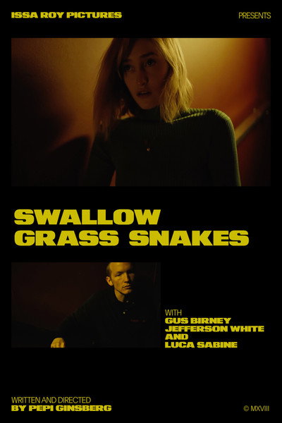Póster de Swallow Grass Snakes