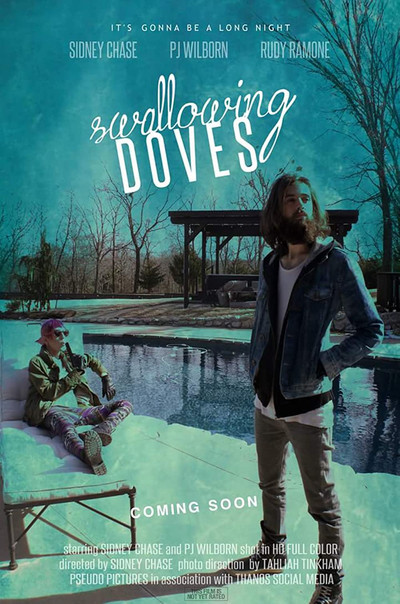 Póster de Swallowing Doves
