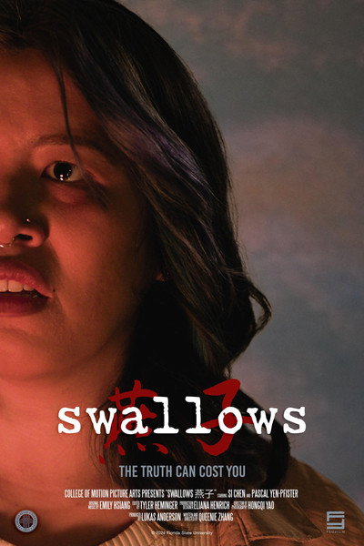 Póster de Swallows