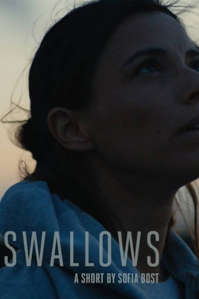 Póster de Swallows