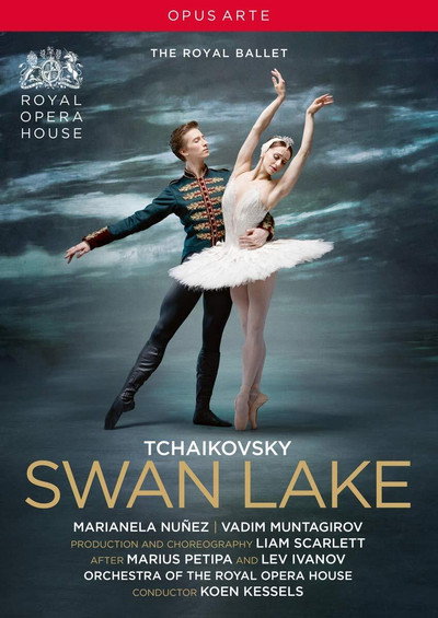 Póster de Swan Lake