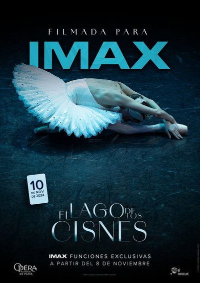 Póster de Swan Lake