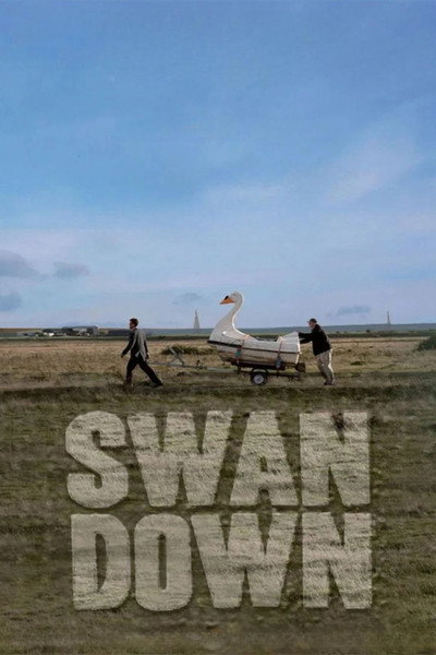 Póster de Swandown