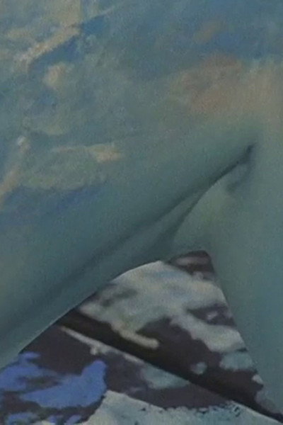 Póster de Swan's Island