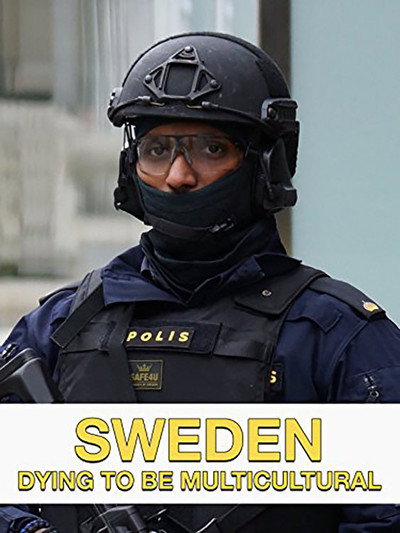 Póster de Sweden Dying to Be Multicultural