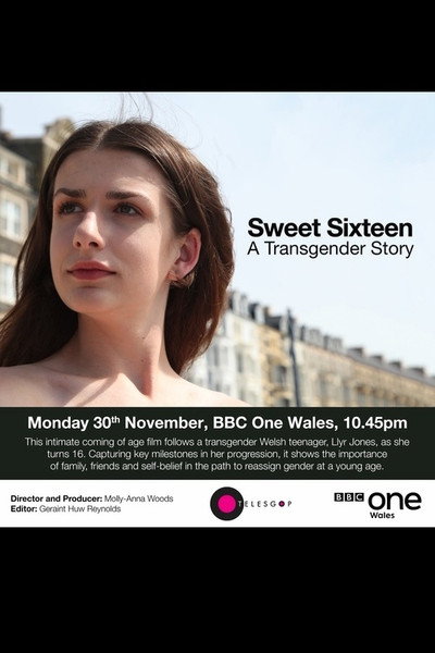 Póster de Sweet Sixteen: A Transgender Story