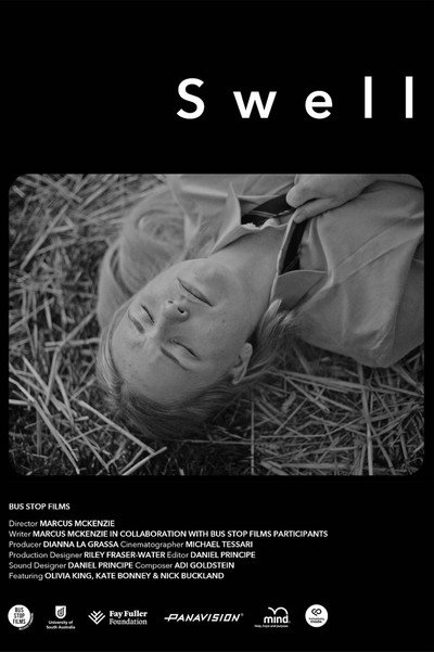 Póster de Swell