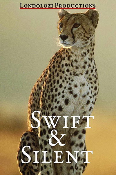 Póster de Swift and Silent