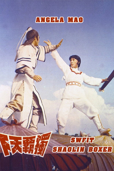 Póster de Swift Shaolin Boxer