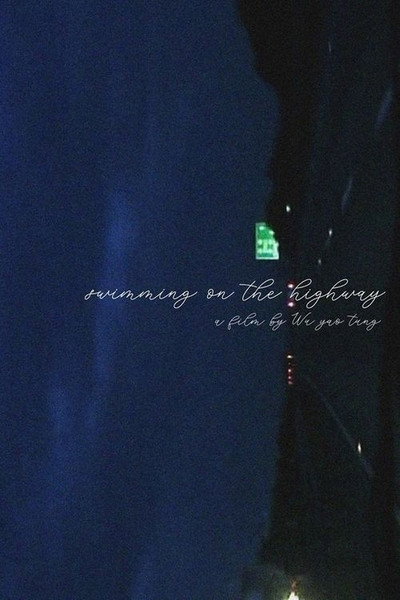 Póster de Swimming on the Highway