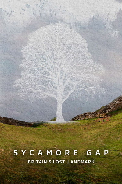Póster de Sycamore Gap: Britain's Lost Landmark