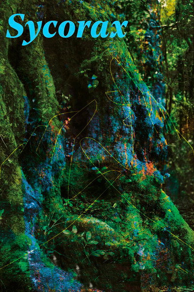 Póster de Sycorax