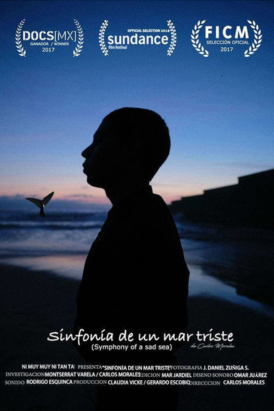Póster de Symphony of a Sad Sea