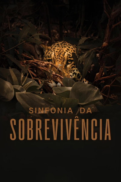 Póster de Symphony of Survival