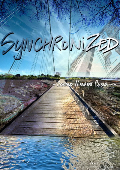 Póster de Synchronized