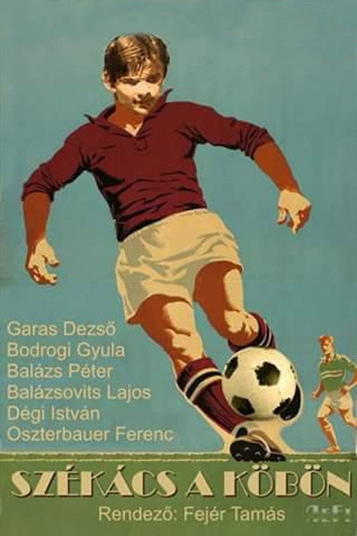 Póster de Székács a köbön