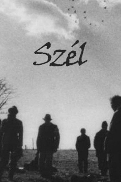 Póster de Szél