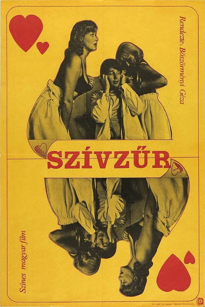 Póster de Szívzür