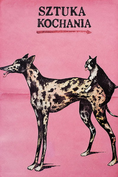 Póster de Sztuka kochania